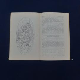 Картинка 3