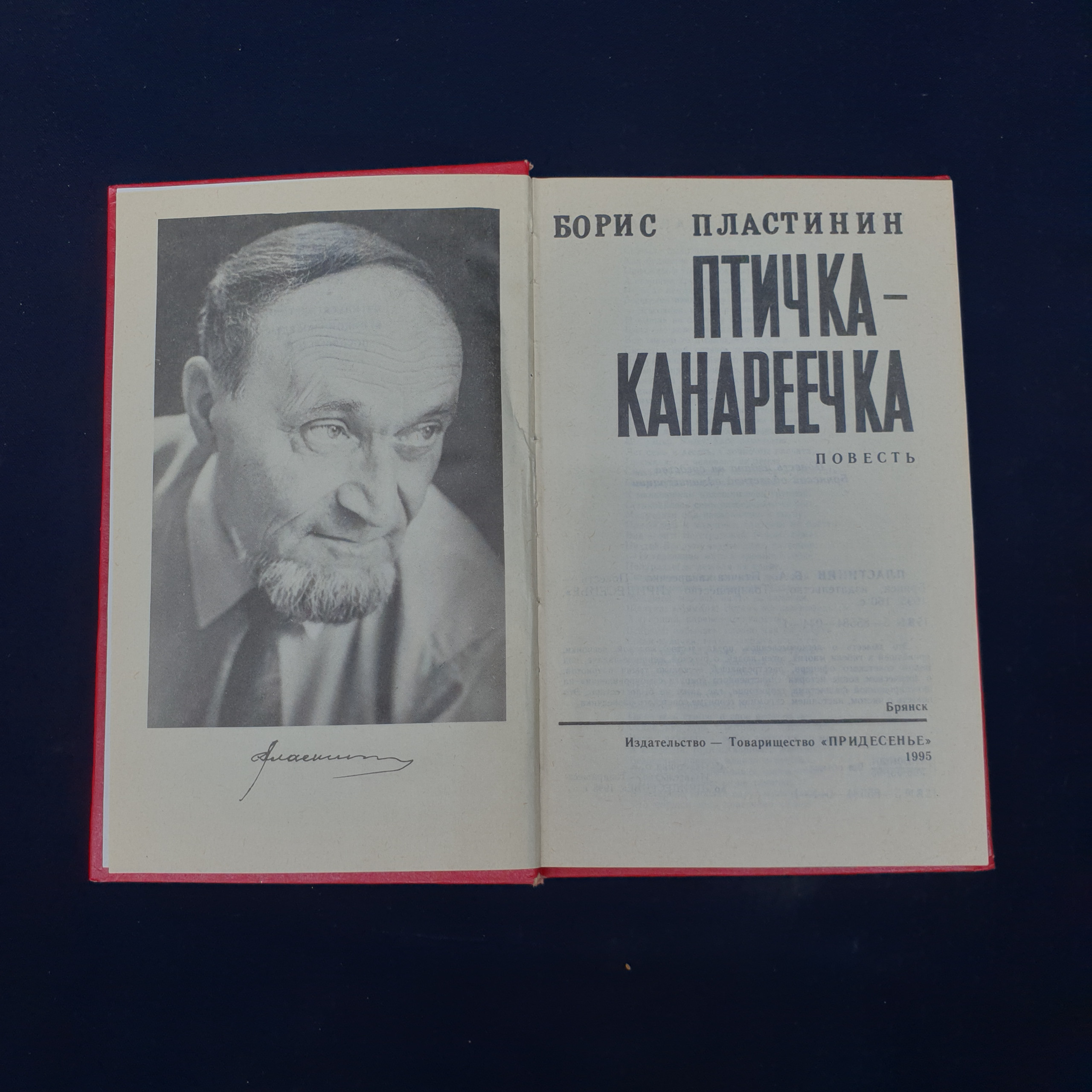 Картинка 2