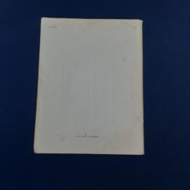 Картинка 6