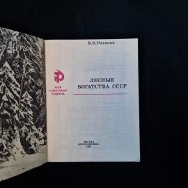 Картинка 4