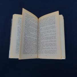 Картинка 4