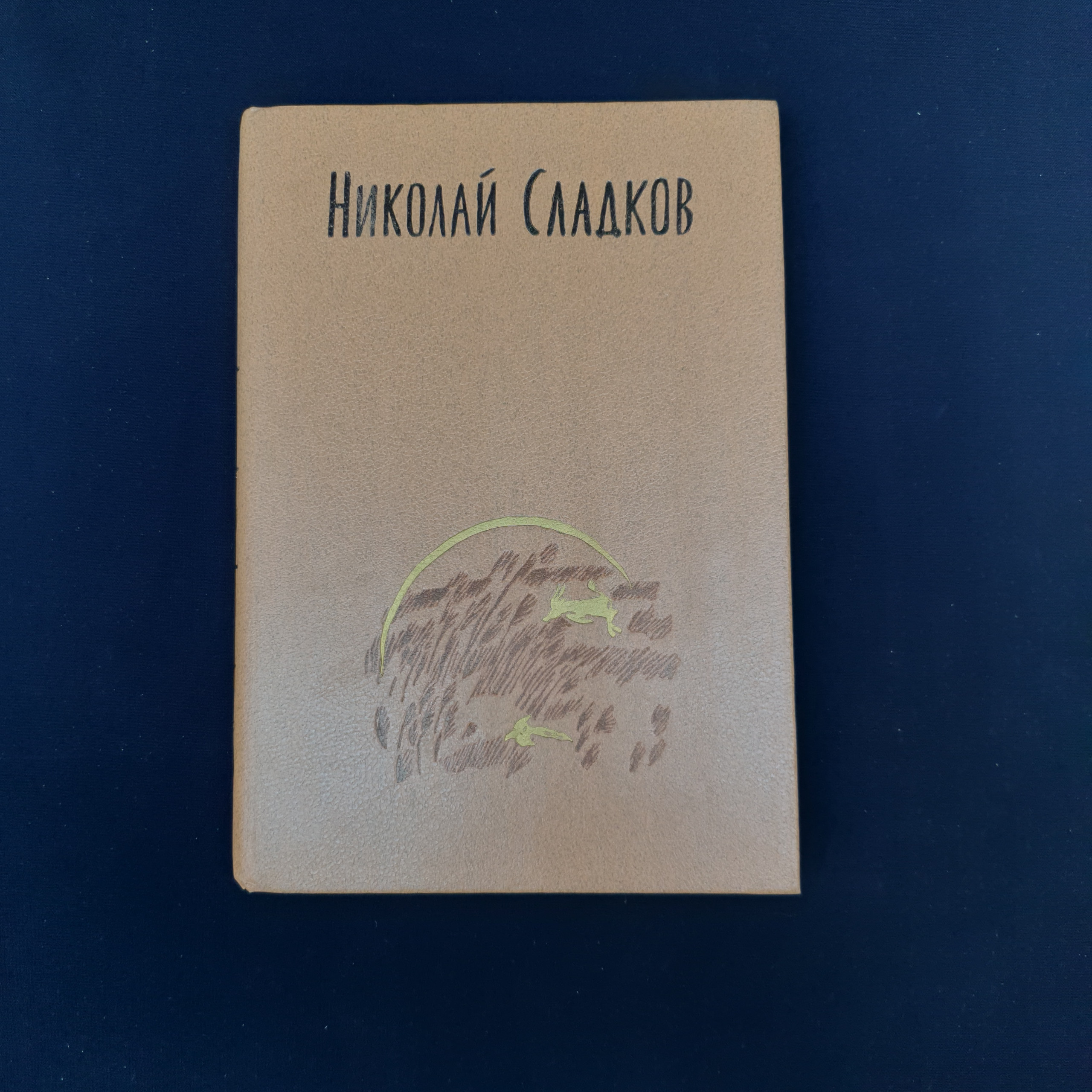 Картинка 1