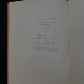 Картинка 6