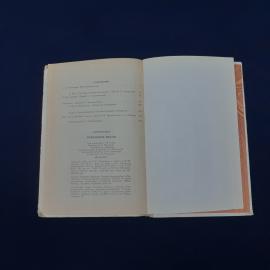 Картинка 5