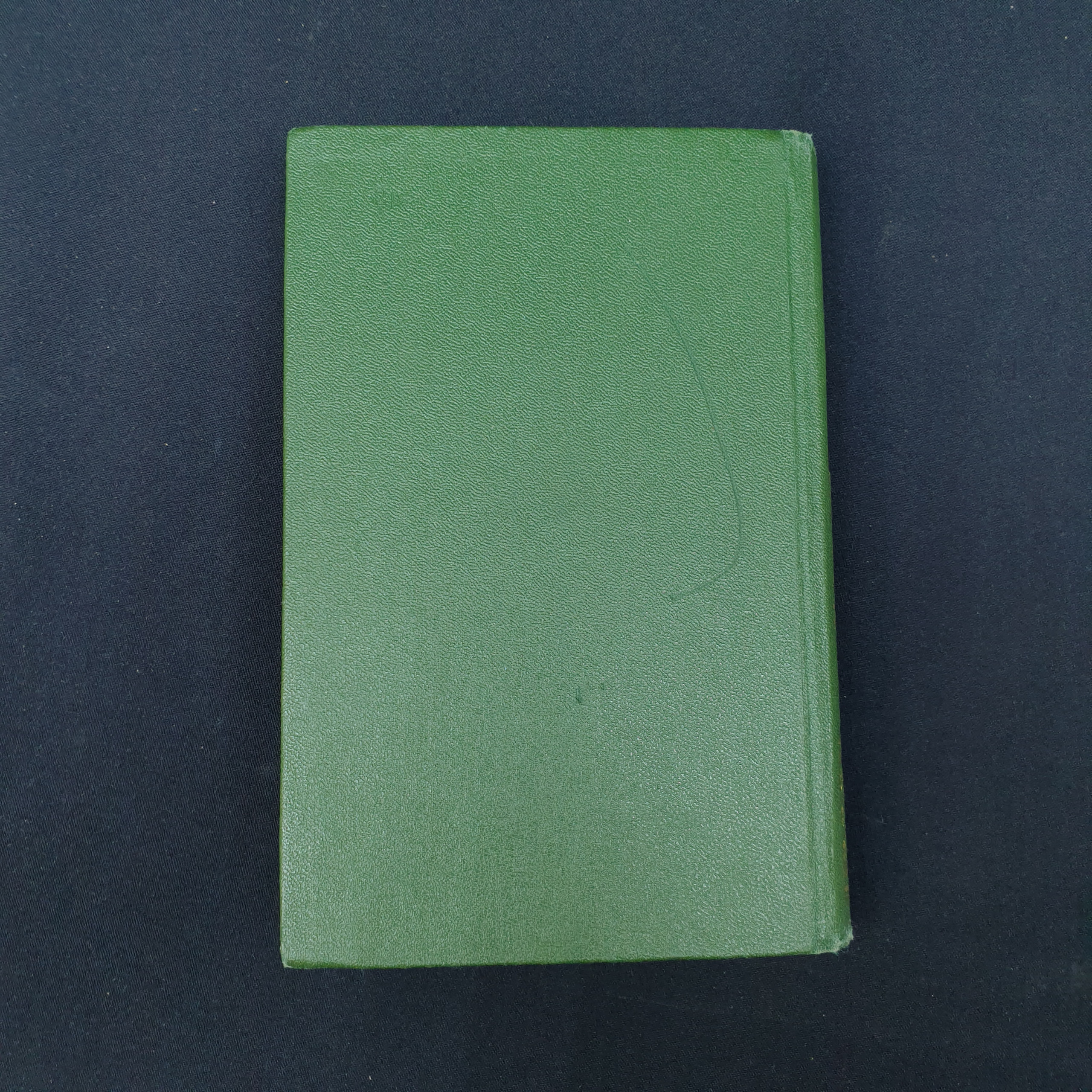 Картинка 6