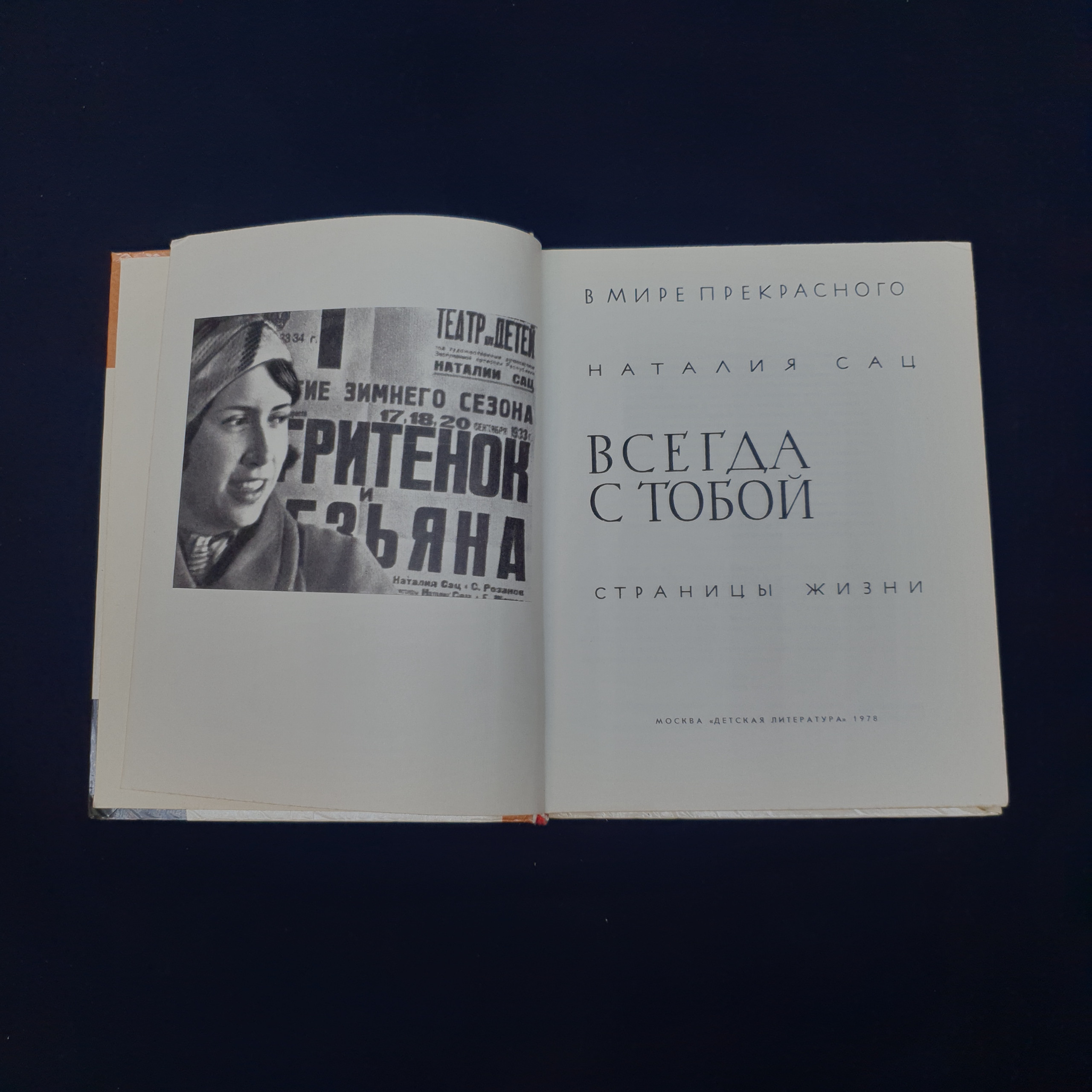 Картинка 2