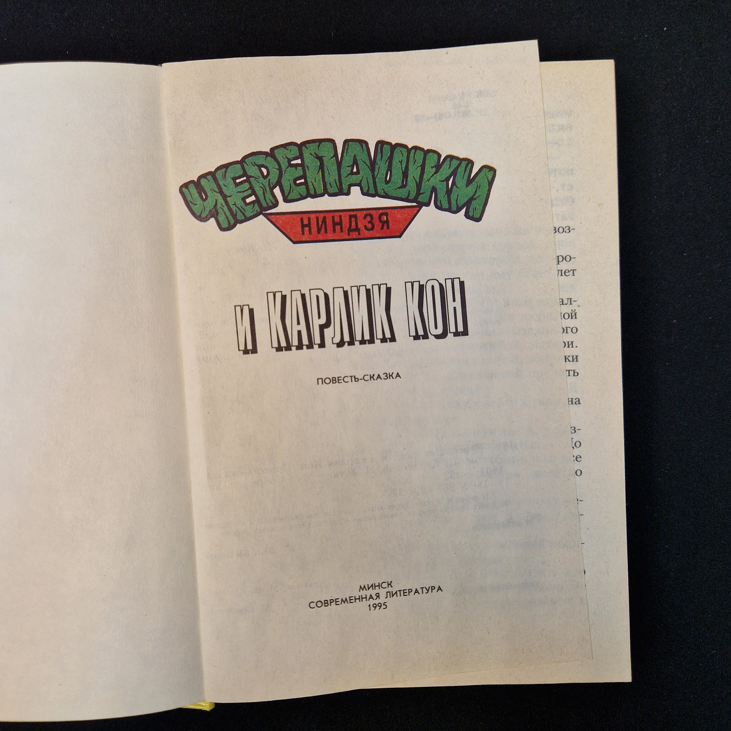 Картинка 4