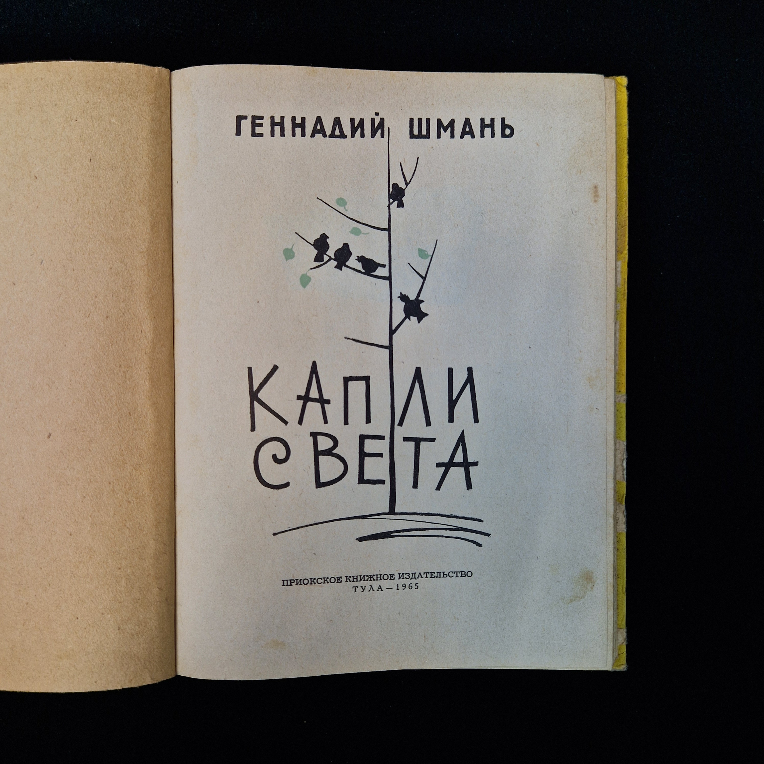 Картинка 4