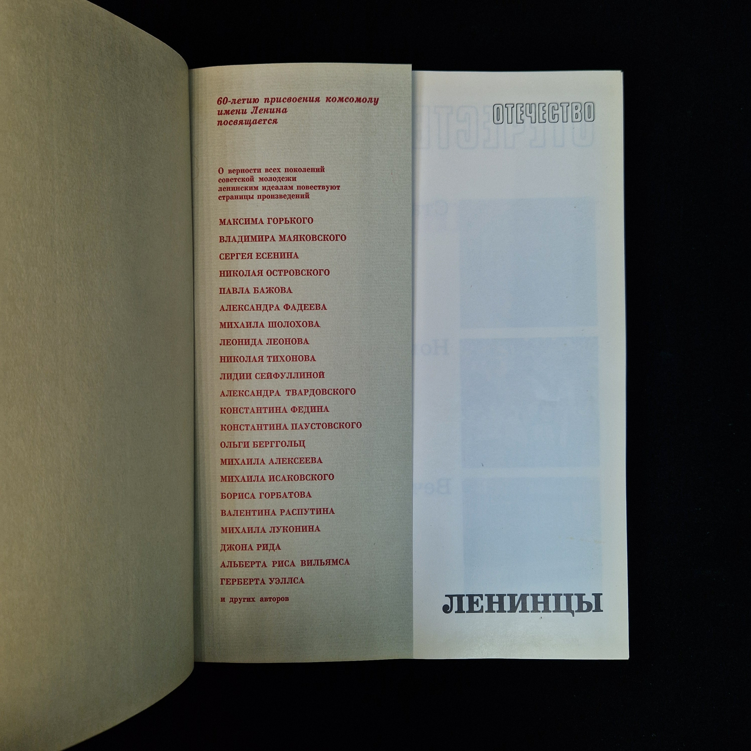 Картинка 4