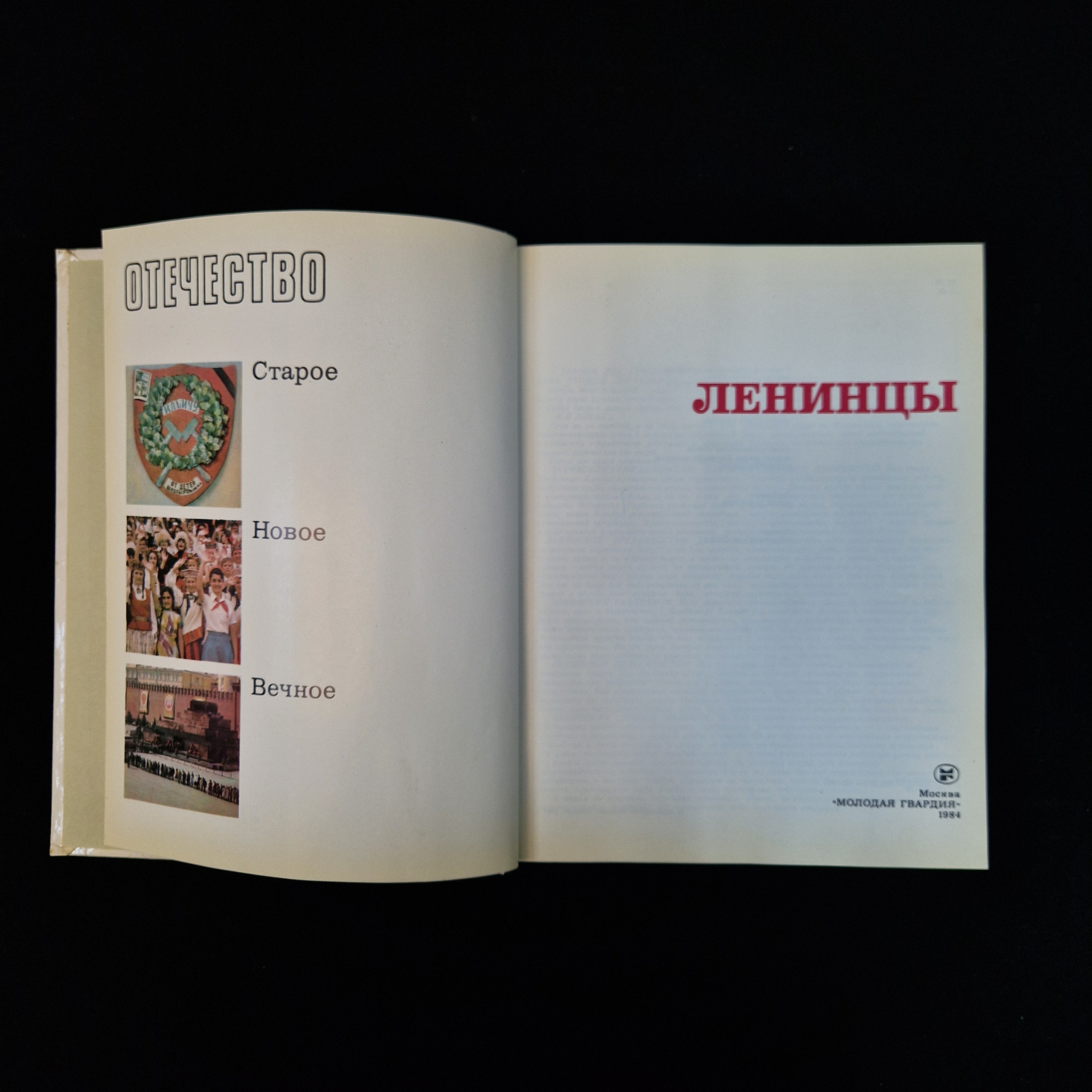 Картинка 5