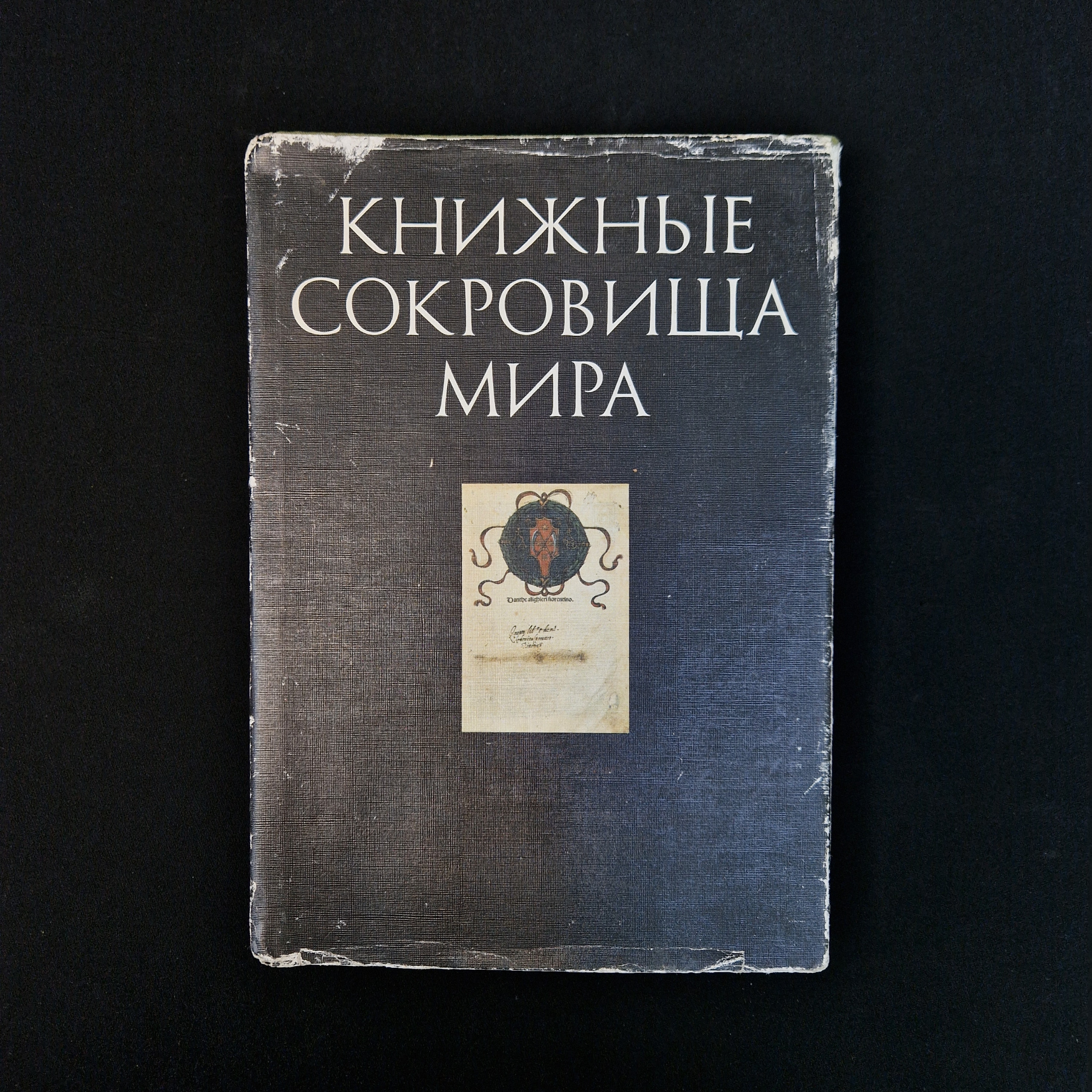 Картинка 1