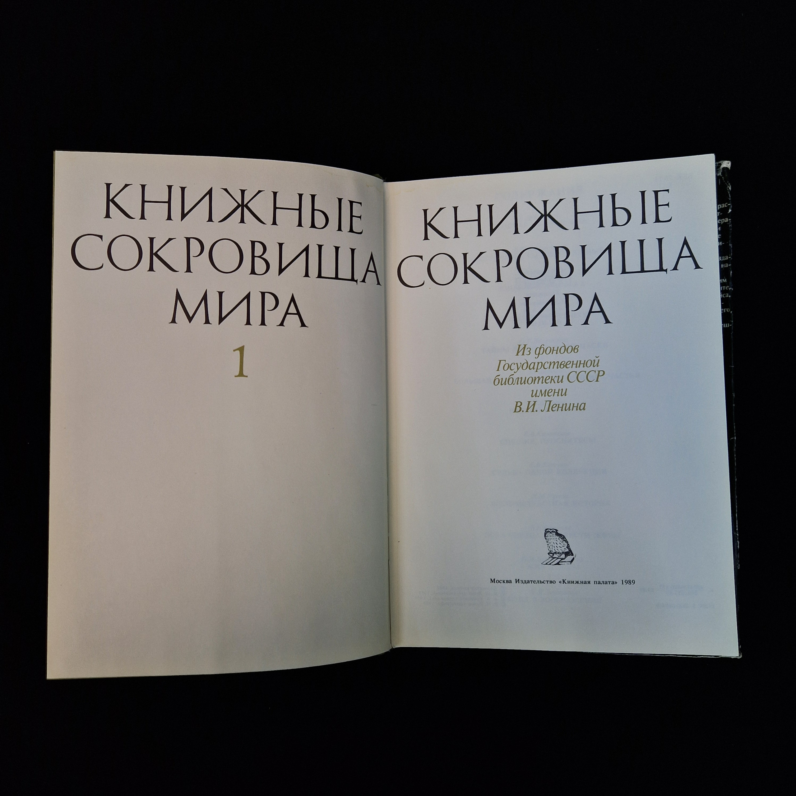 Картинка 4