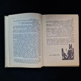 Картинка 5