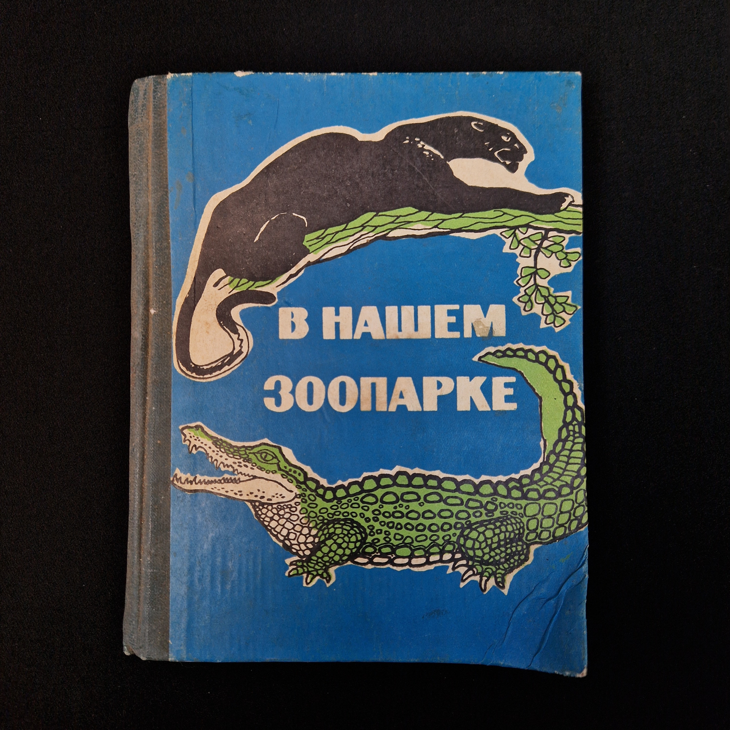 Картинка 1