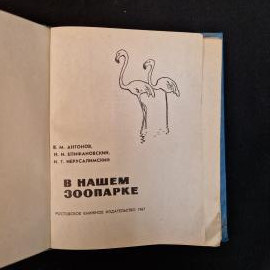 Картинка 4