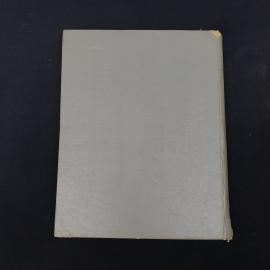 Картинка 7