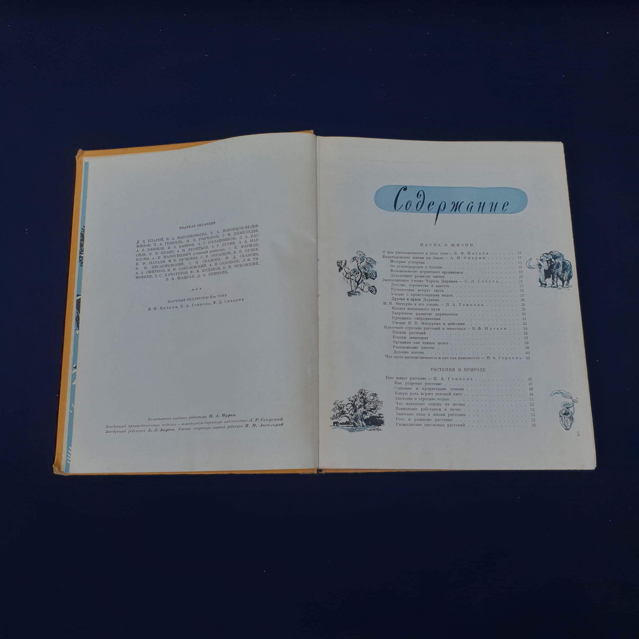 Картинка 4
