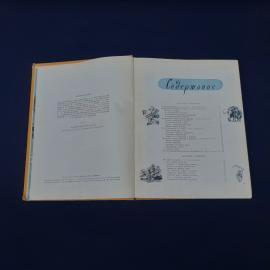 Картинка 4