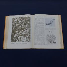 Картинка 6