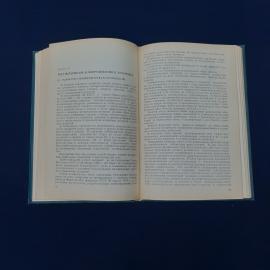 Картинка 5
