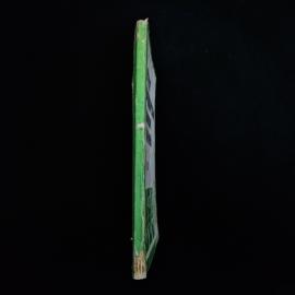 Картинка 2