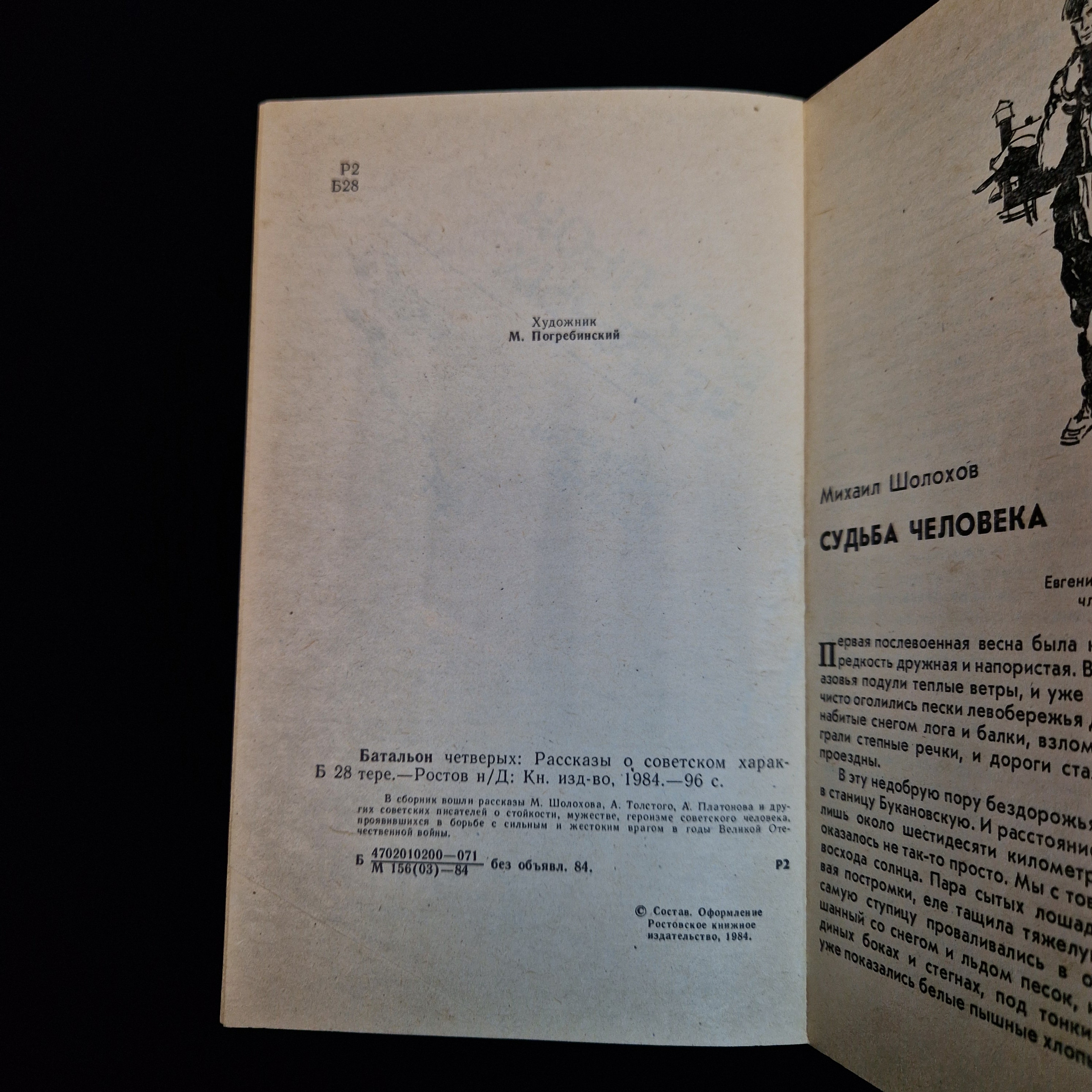 Картинка 5