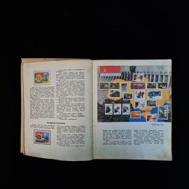 Картинка 6