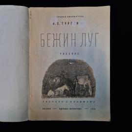 Картинка 3