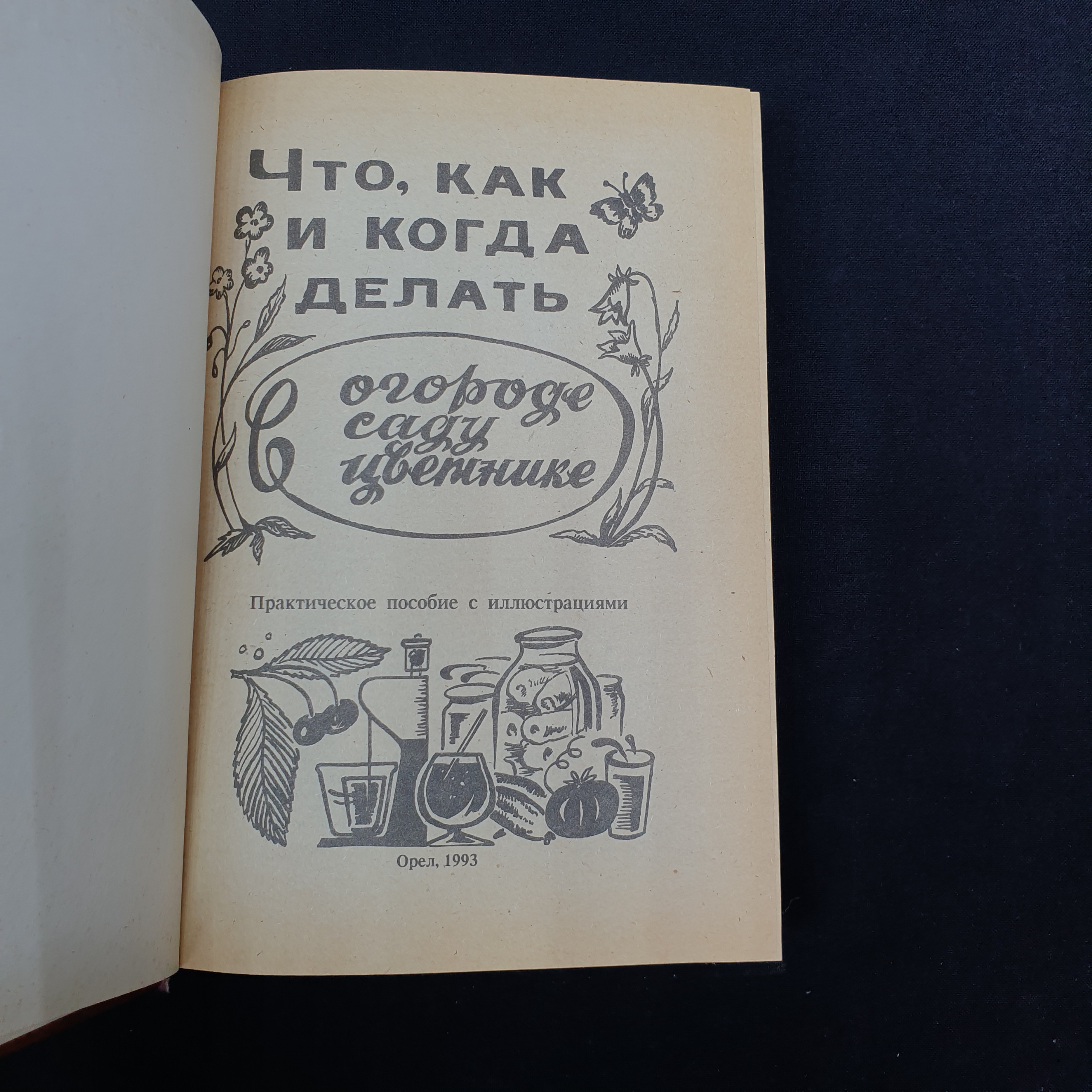 Картинка 3