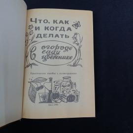 Картинка 3