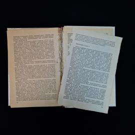 Картинка 8