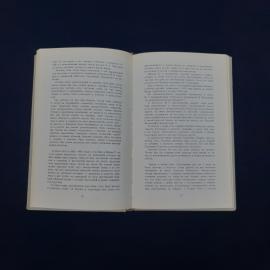 Картинка 5