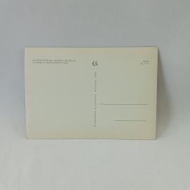Картинка 2