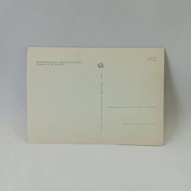 Картинка 2