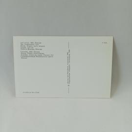Картинка 2