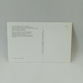 Картинка 2
