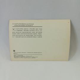 Картинка 2