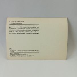 Картинка 2