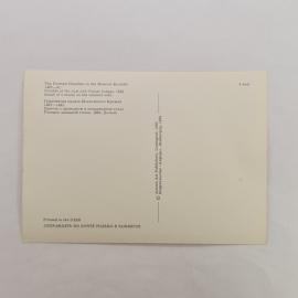 Картинка 2