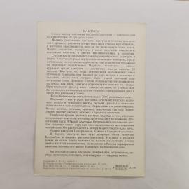 Картинка 2