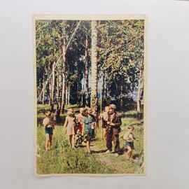 Открытка советская СССР. Дети в лесу, по грибы, природа, прогулка. Винтаж, коллекционная