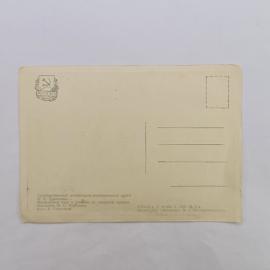 Картинка 2
