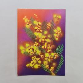 Открытка старинная. Мимоза, цветы на сиреневом фоне. Художник В. Мозербах, почтовая России