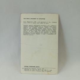 Картинка 2