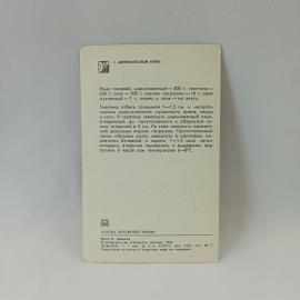 Картинка 2