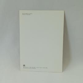 Картинка 2