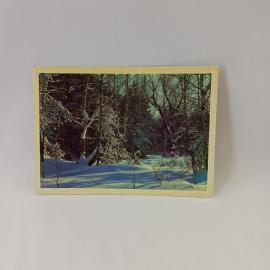 Открытка советская СССР. Новогоднее поздравление, зимний лес в снегу, природа. Винтаж открытка