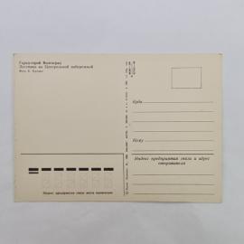 Картинка 2