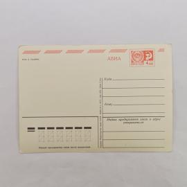 Картинка 2