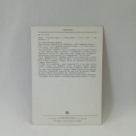 Картинка 2